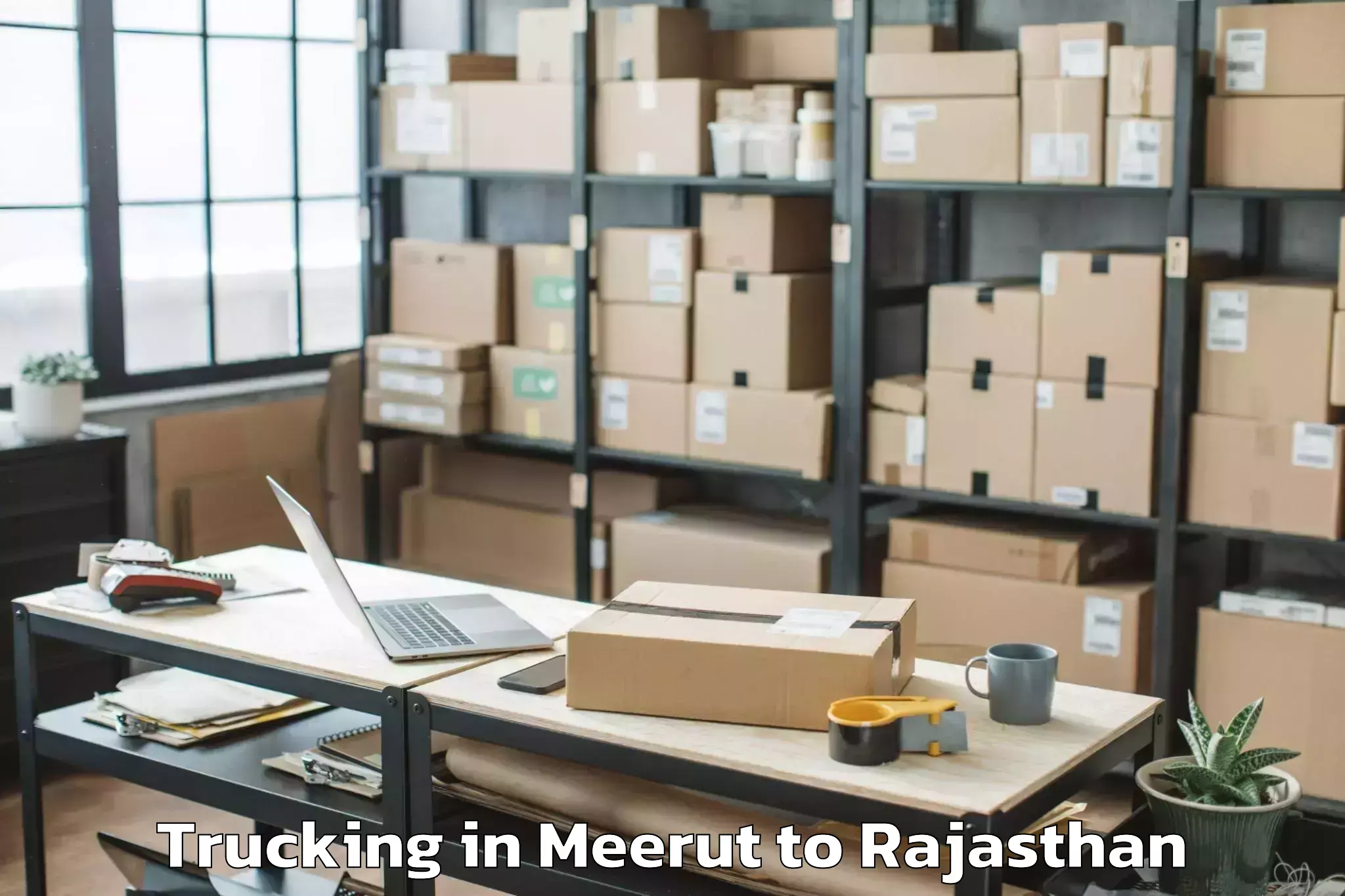 Leading Meerut to Deoli Trucking Provider